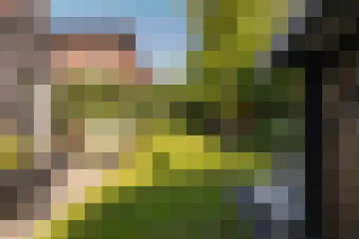 Kruisspin 46 Hengelo thumbnail 42