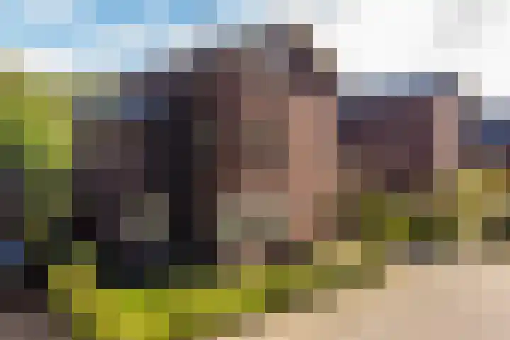 Kruisspin 46 Hengelo thumbnail 48