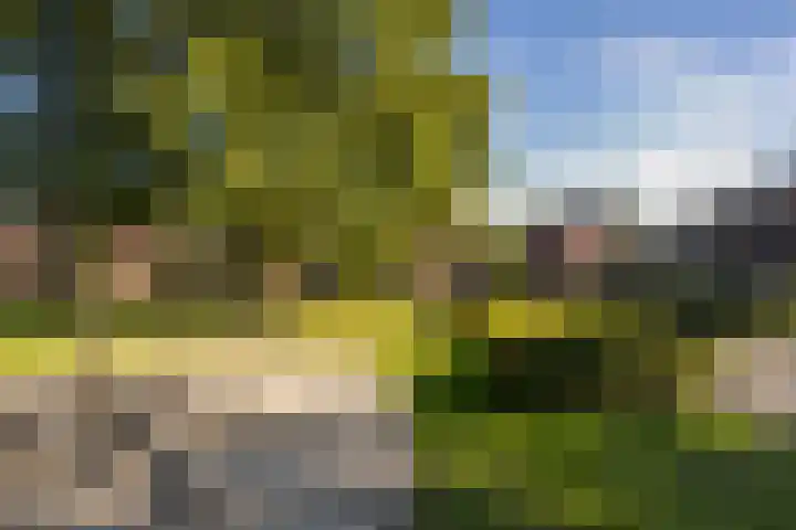 Kruisspin 46 Hengelo thumbnail 51