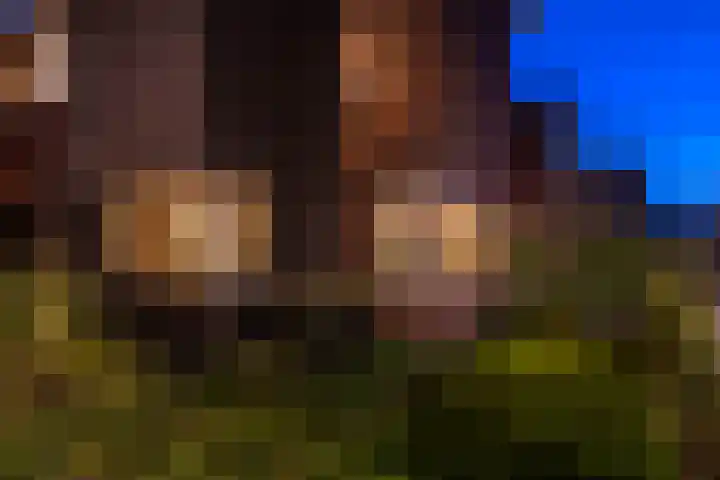Kruisspin 46 Hengelo thumbnail 6