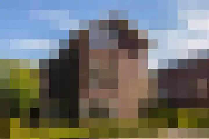 Kruisspin 46 Hengelo thumbnail 7
