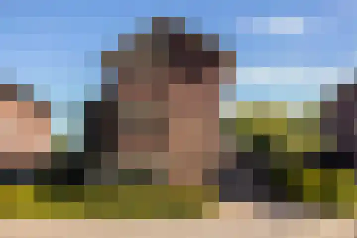 Kruisspin 46 Hengelo thumbnail 8