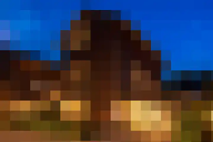Kruisspin 46 Hengelo thumbnail 9