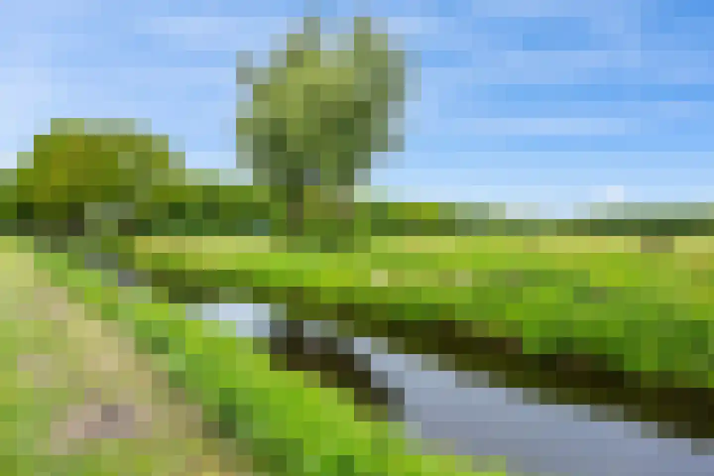 Kruisspoel 36 Emmer-Compascuum thumbnail 33