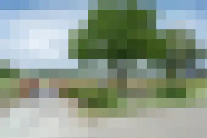 Kruisspoel 69 Emmer-Compascuum thumbnail 37