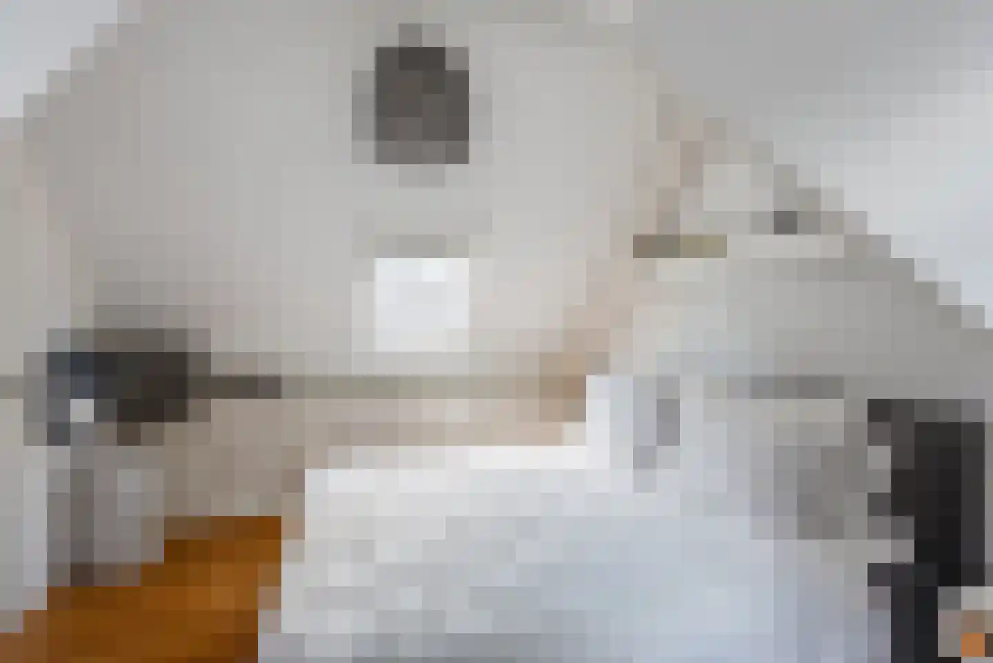 Kruissteeg 23 Hilversum thumbnail 15