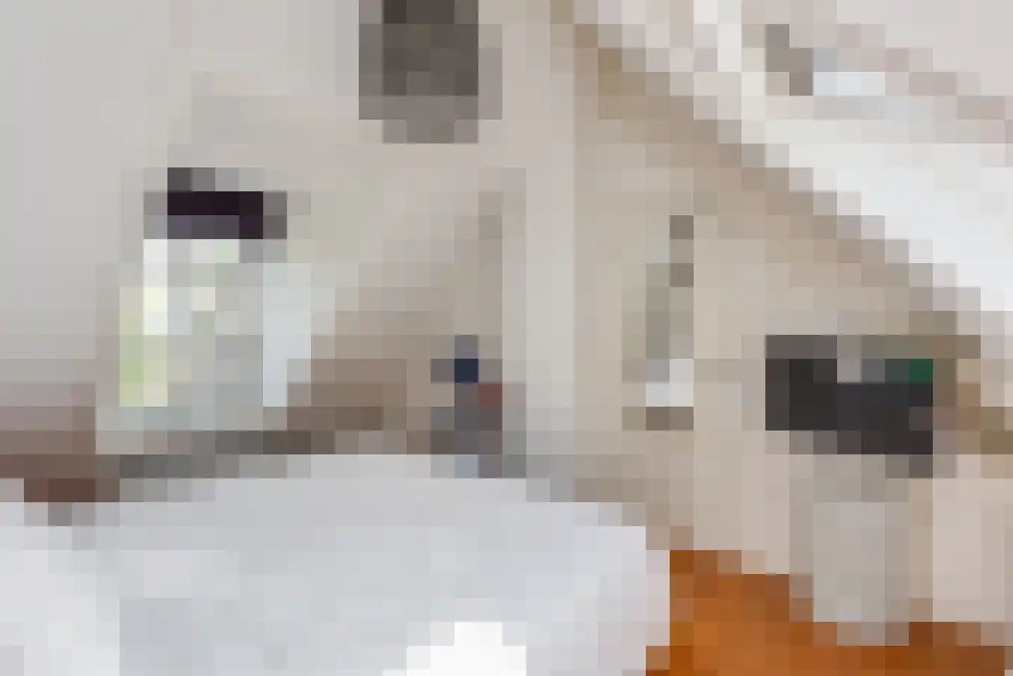 Kruissteeg 23 Hilversum thumbnail 16