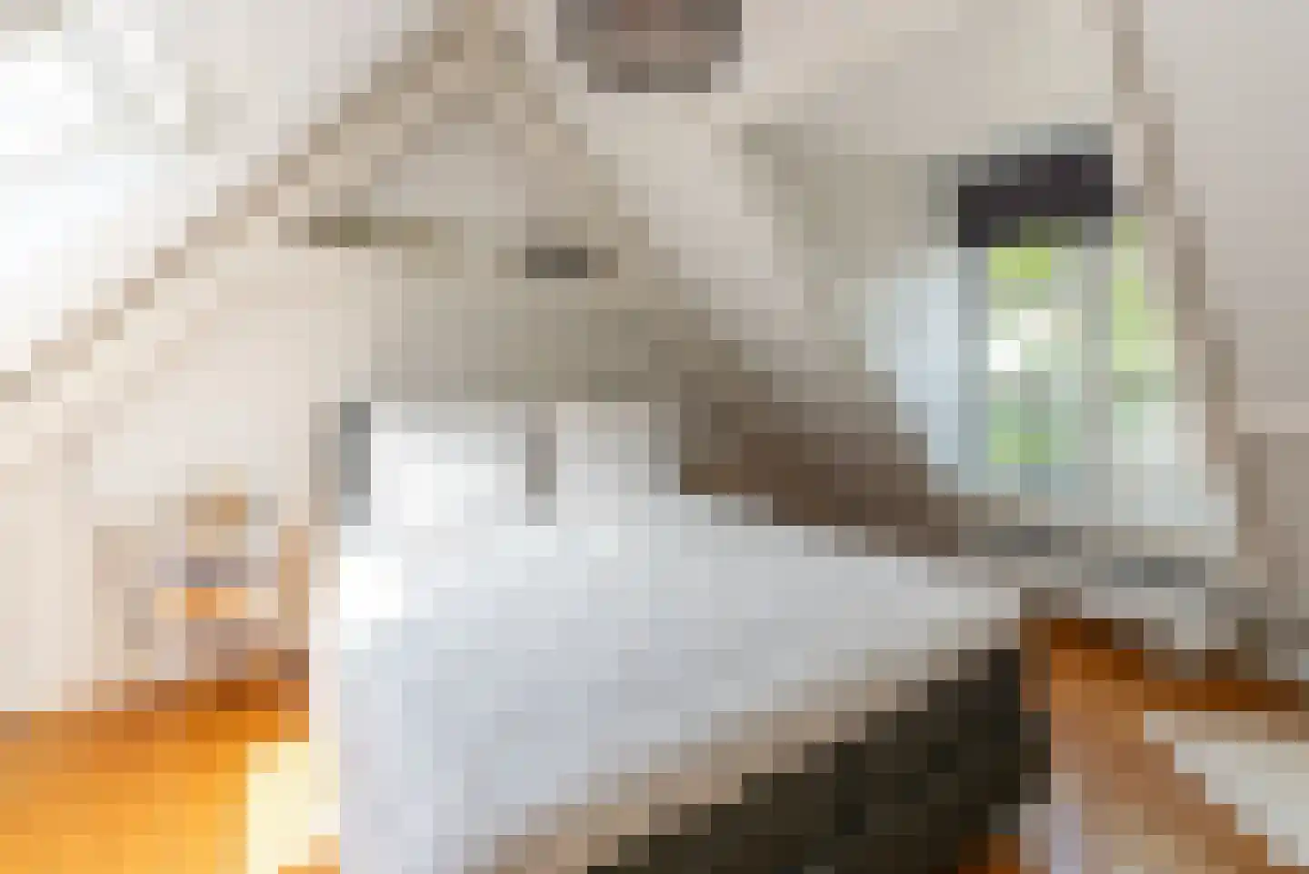 Kruissteeg 23 Hilversum thumbnail 17