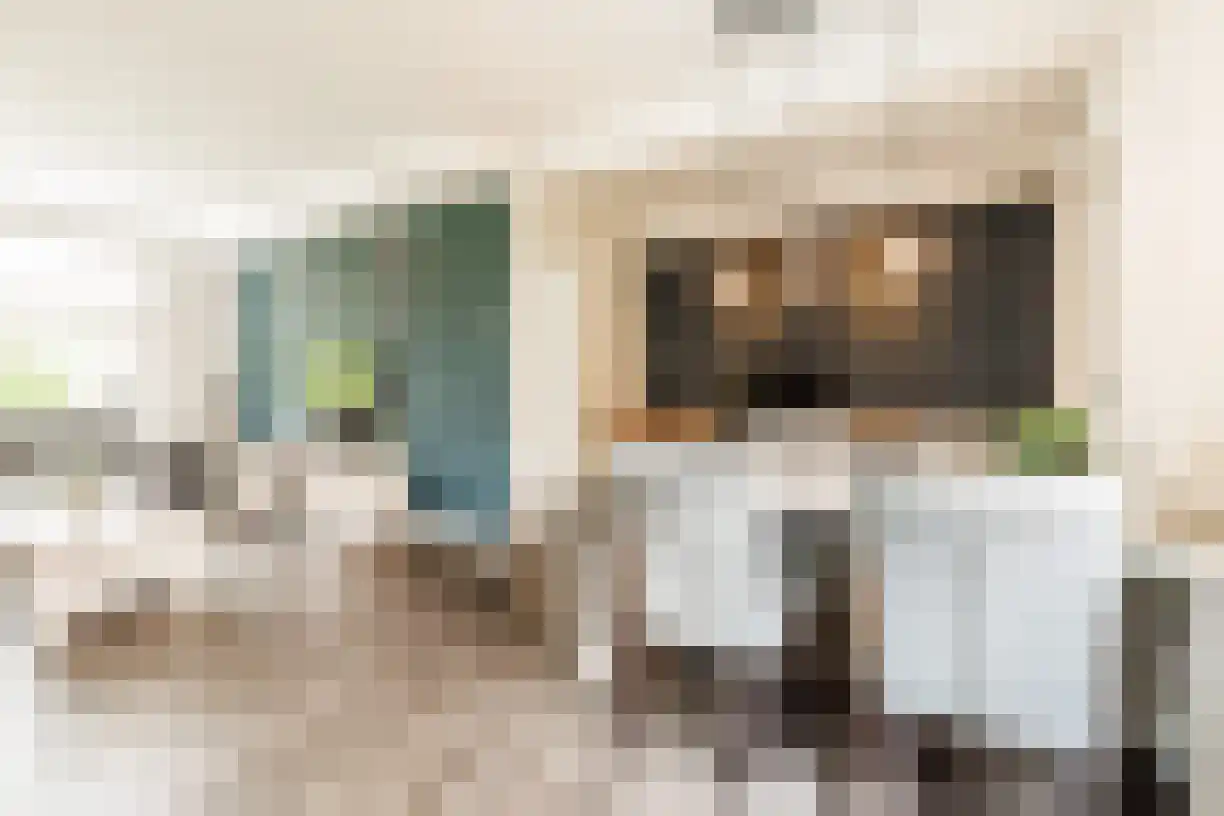 Kruissteenweg 106 Wierden thumbnail 14