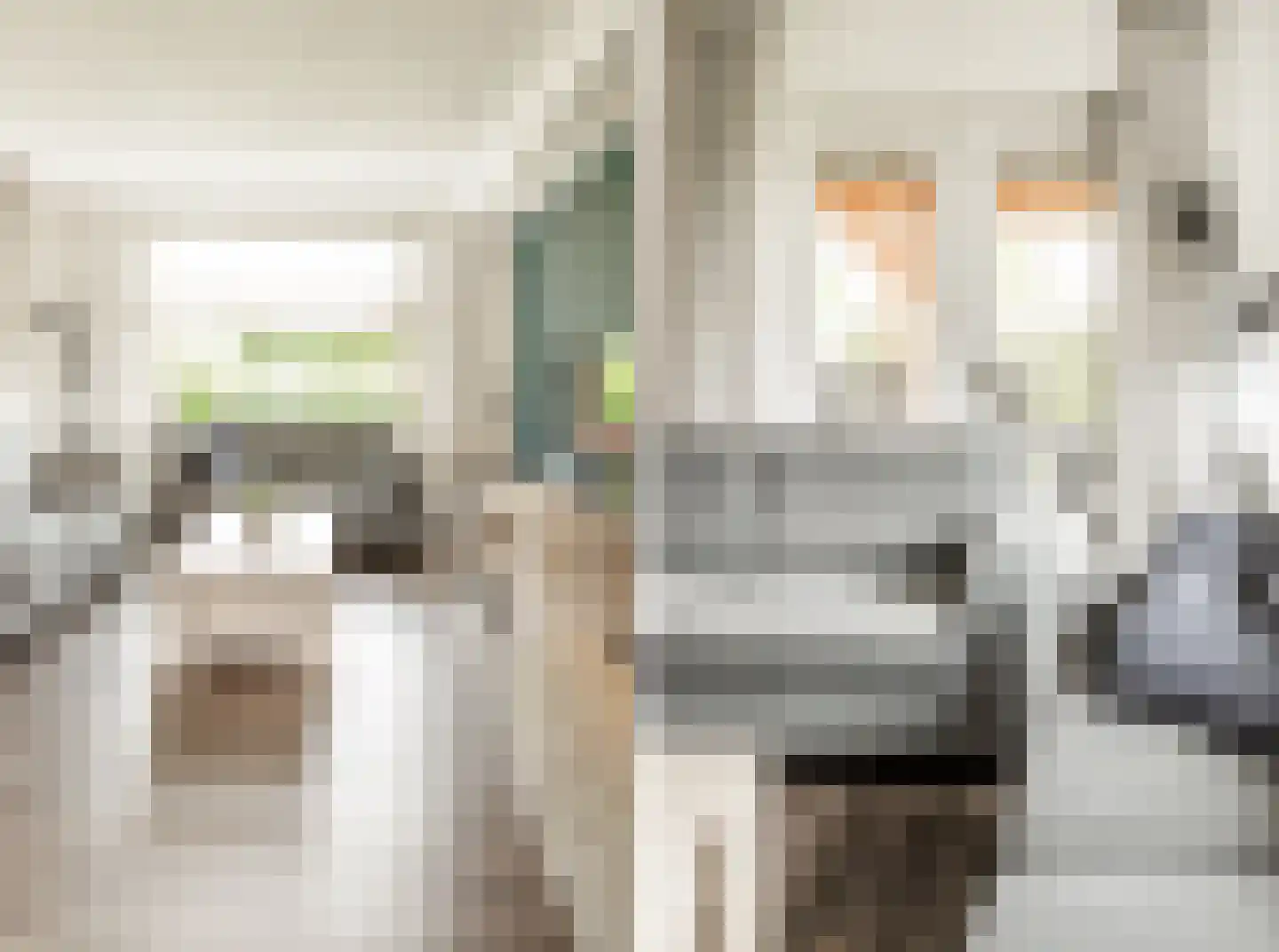 Kruissteenweg 106 Wierden thumbnail 16