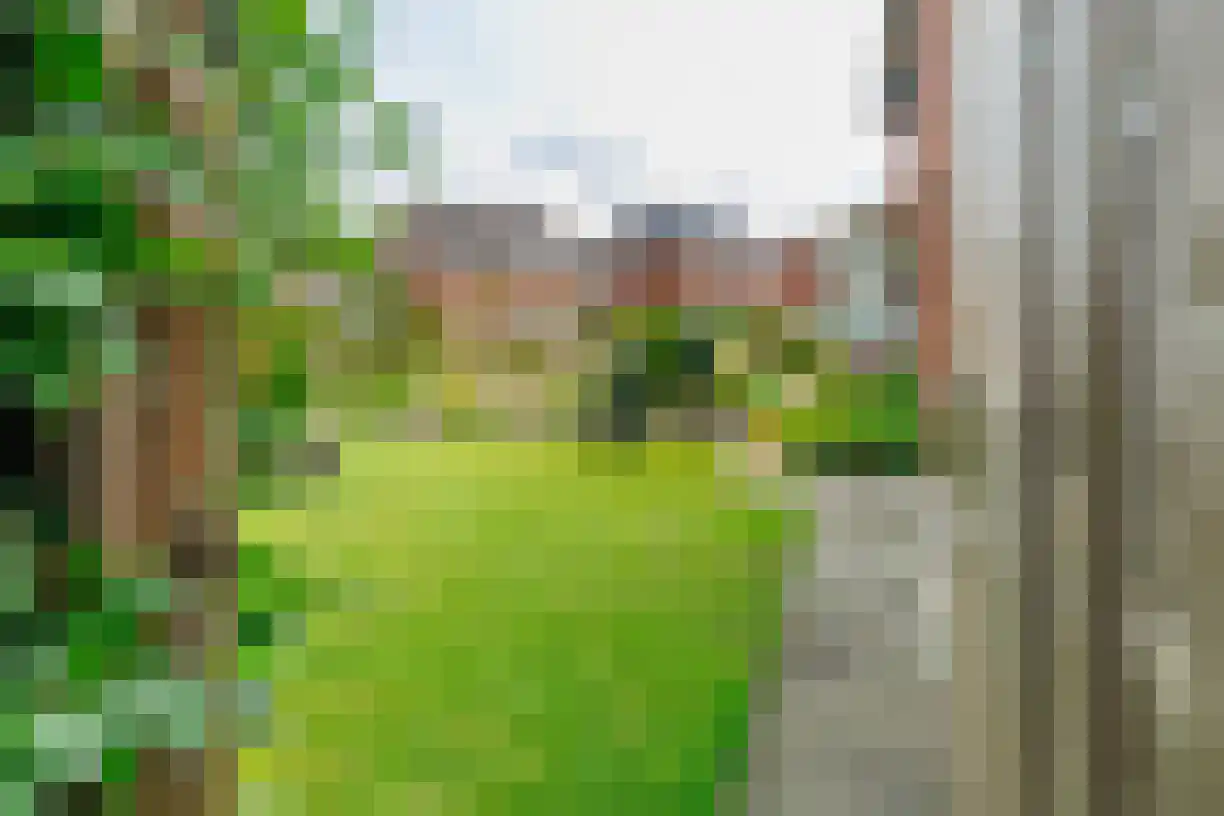 Kruissteenweg 106 Wierden thumbnail 49