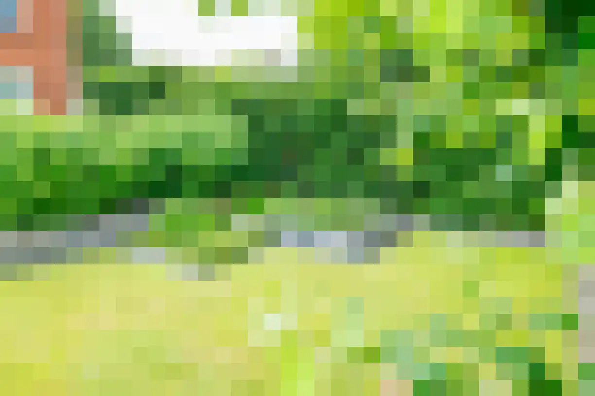 Kruissteenweg 106 Wierden thumbnail 8