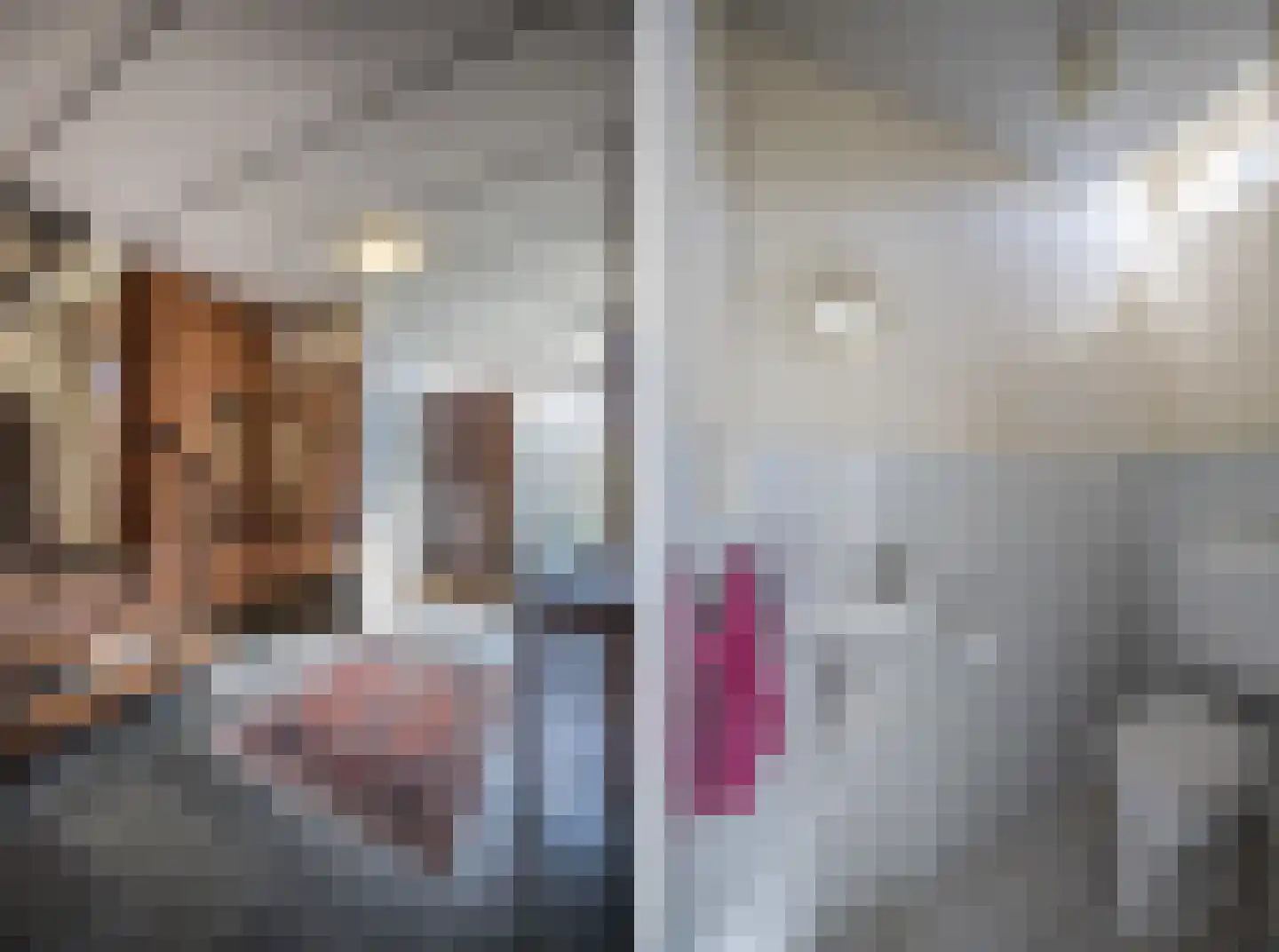 Kruissteenweg 137 Wierden thumbnail 12
