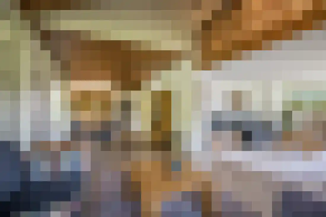 Kruissteenweg 137 Wierden thumbnail 20