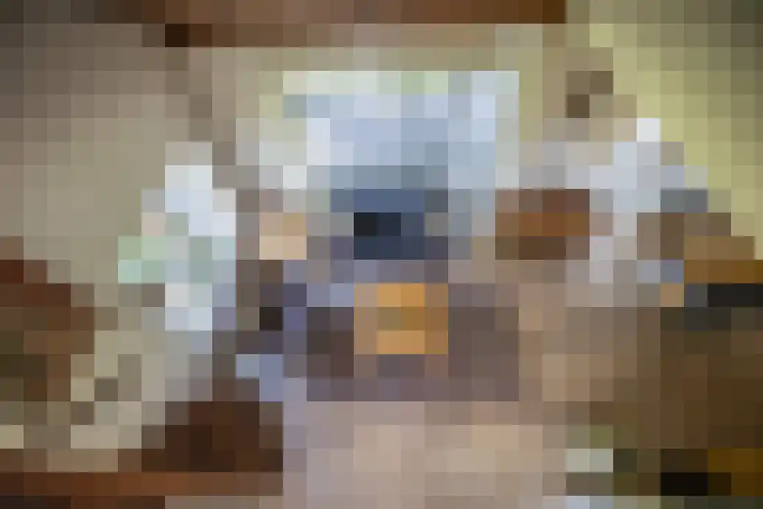 Kruissteenweg 137 Wierden thumbnail 33