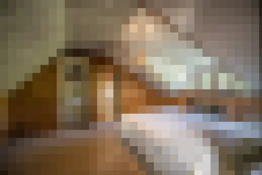 Kruissteenweg 137 Wierden thumbnail 38