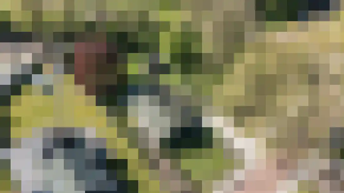 Kruissteenweg 137 Wierden thumbnail 4