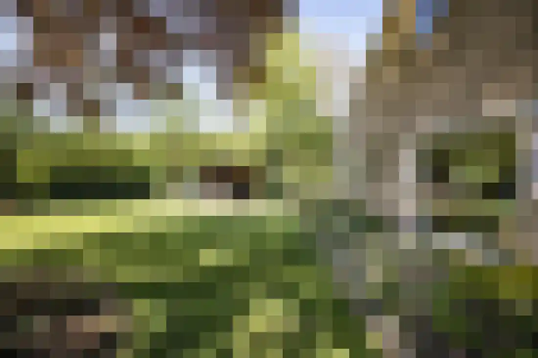 Kruissteenweg 137 Wierden thumbnail 41