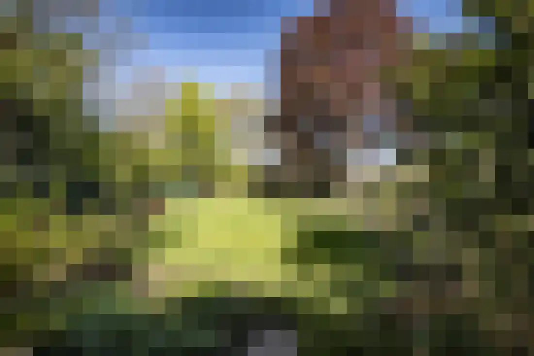 Kruissteenweg 137 Wierden thumbnail 42