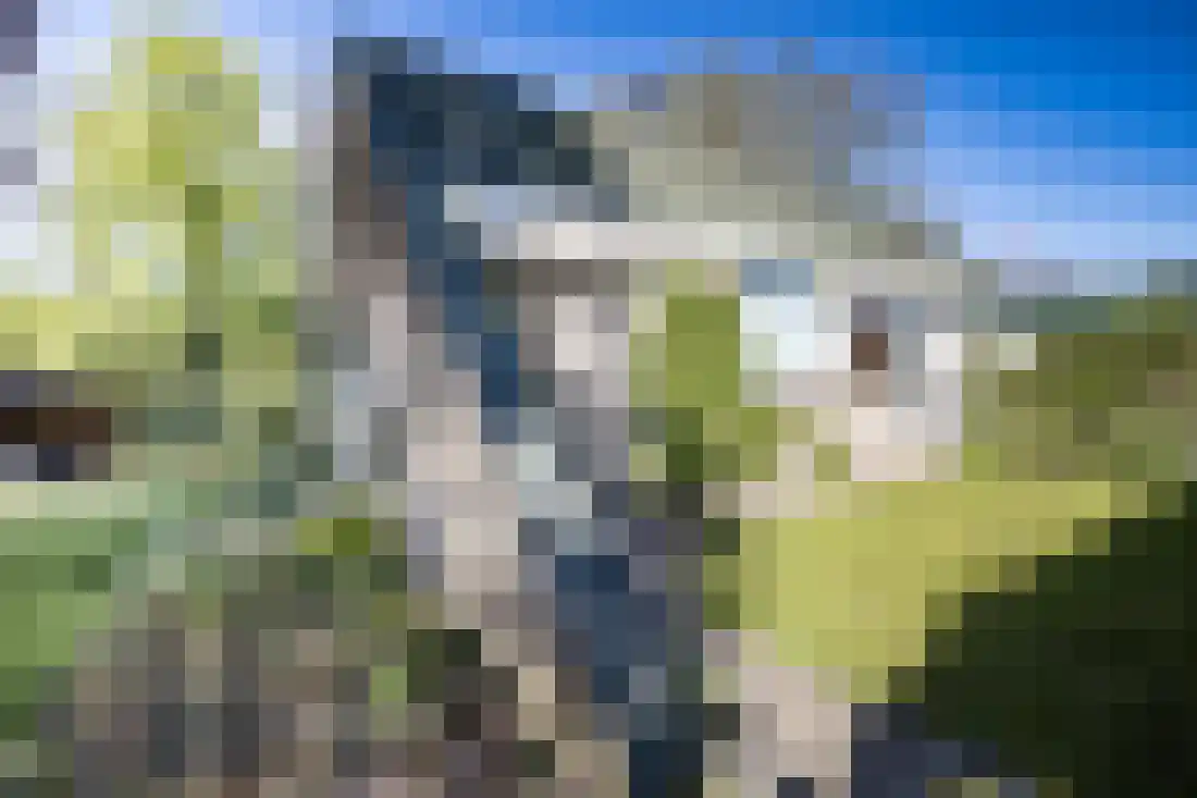 Kruissteenweg 137 Wierden thumbnail 45