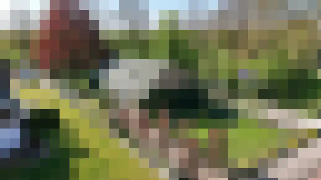 Kruissteenweg 137 Wierden thumbnail 5