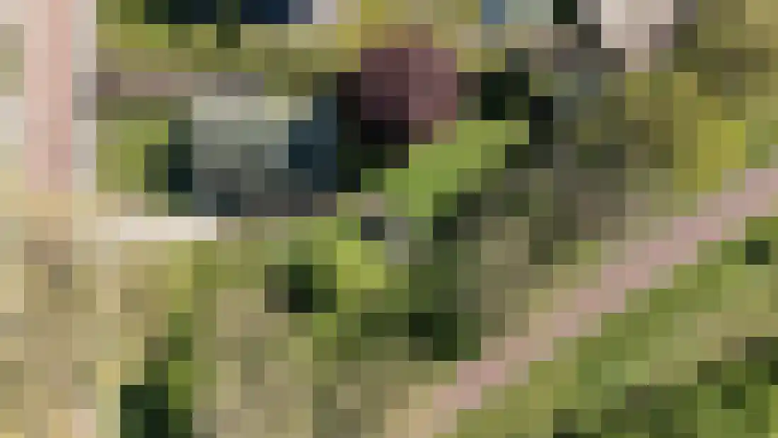 Kruissteenweg 137 Wierden thumbnail 55