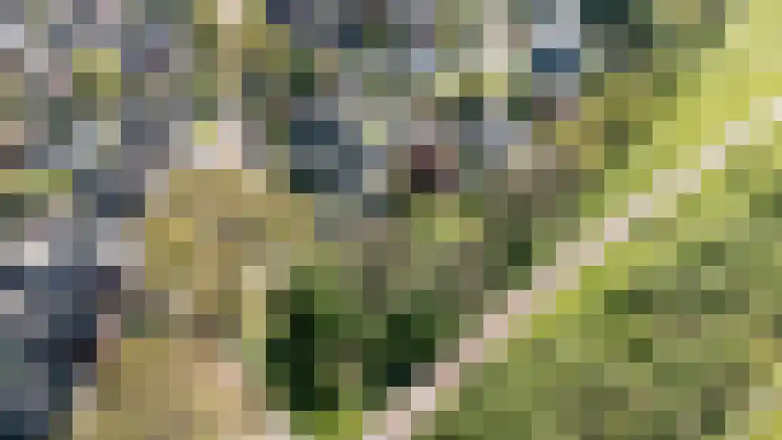 Kruissteenweg 137 Wierden thumbnail 56