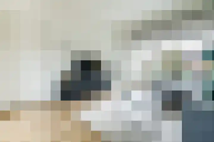 Kruissteenweg 77 Wierden thumbnail 12