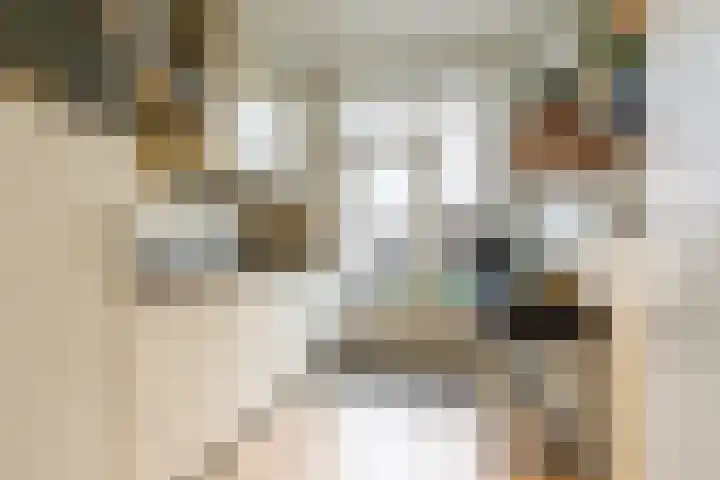 Kruissteenweg 77 Wierden thumbnail 13