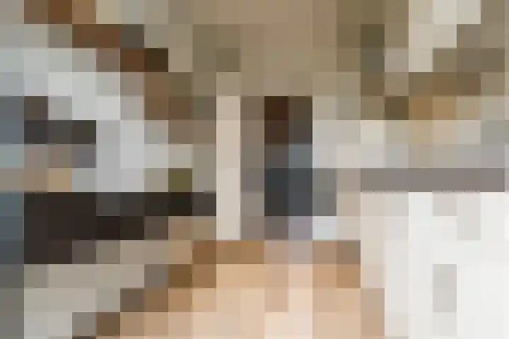 Kruissteenweg 77 Wierden thumbnail 15