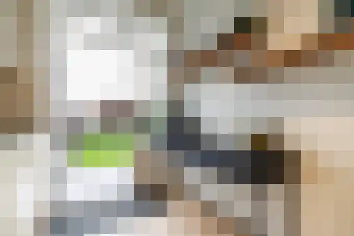 Kruissteenweg 77 Wierden thumbnail 16
