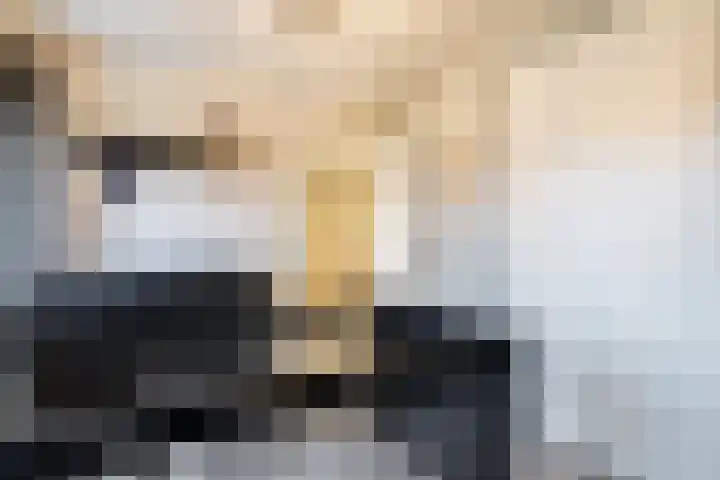 Kruissteenweg 77 Wierden thumbnail 20