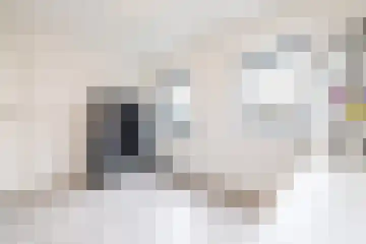 Kruissteenweg 77 Wierden thumbnail 22