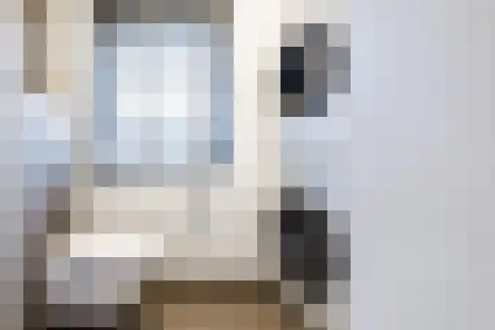 Kruissteenweg 77 Wierden thumbnail 28