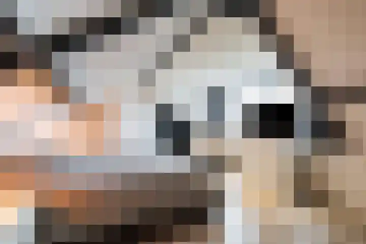 Kruissteenweg 77 Wierden thumbnail 29
