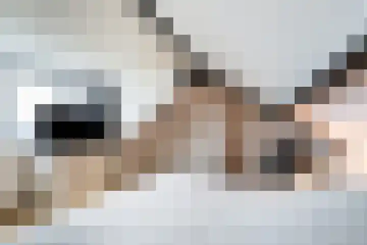 Kruissteenweg 77 Wierden thumbnail 33