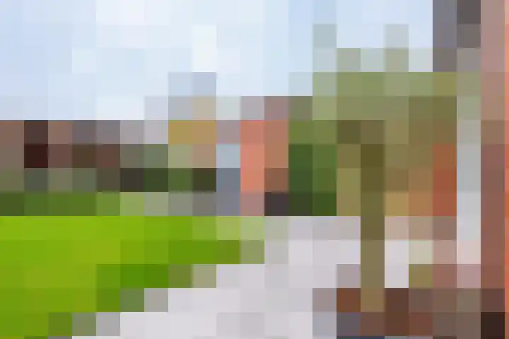 Kruissteenweg 77 Wierden thumbnail 34