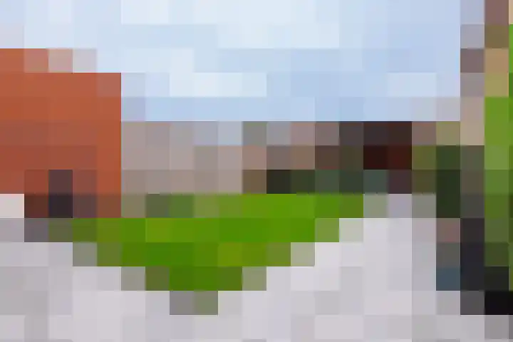 Kruissteenweg 77 Wierden thumbnail 35