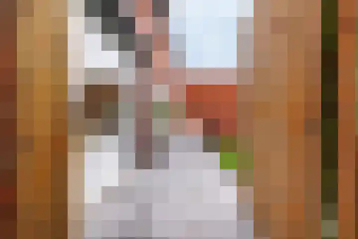 Kruissteenweg 77 Wierden thumbnail 36