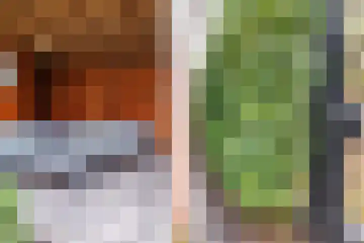 Kruissteenweg 77 Wierden thumbnail 37
