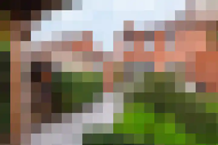 Kruissteenweg 77 Wierden thumbnail 38