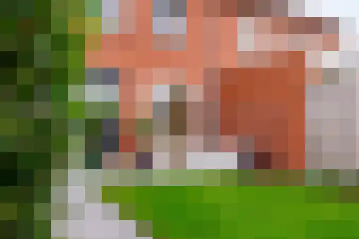 Kruissteenweg 77 Wierden thumbnail 40