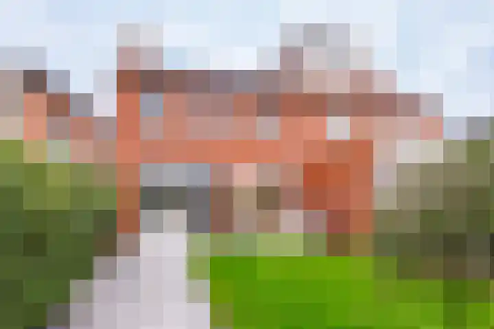 Kruissteenweg 77 Wierden thumbnail 41
