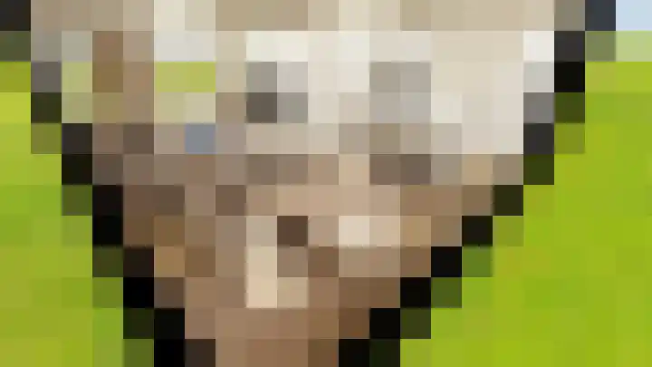 Kruissteenweg 77 Wierden thumbnail 53