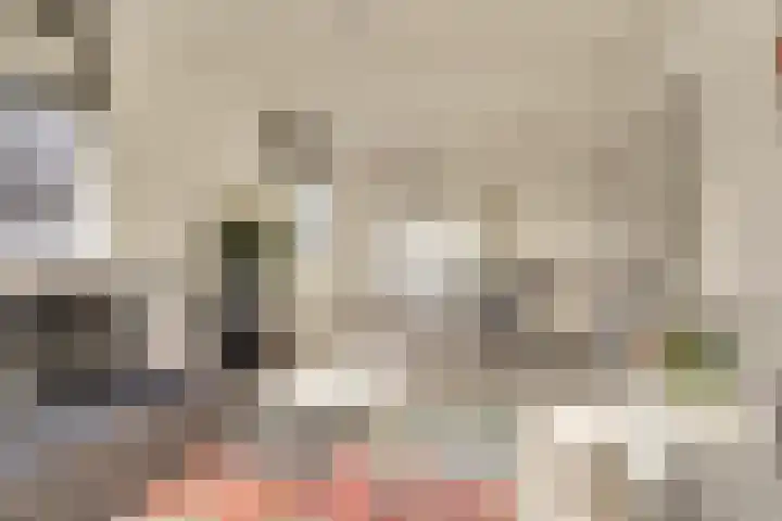 Kruisstraat 1 1 Dieren thumbnail 10