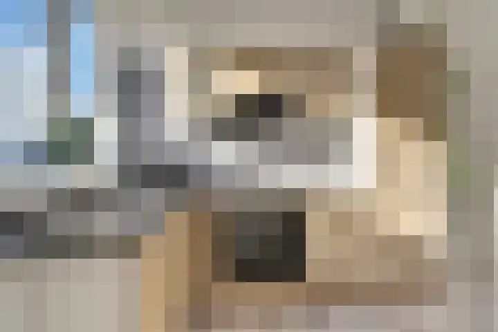 Kruisstraat 1 1 Dieren thumbnail 15