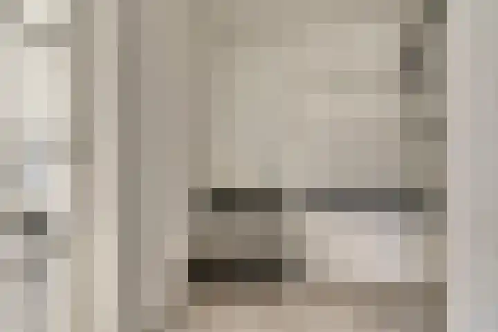 Kruisstraat 1 1 Dieren thumbnail 17