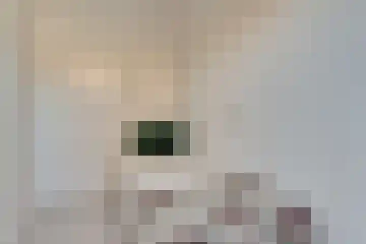 Kruisstraat 1 1 Dieren thumbnail 18