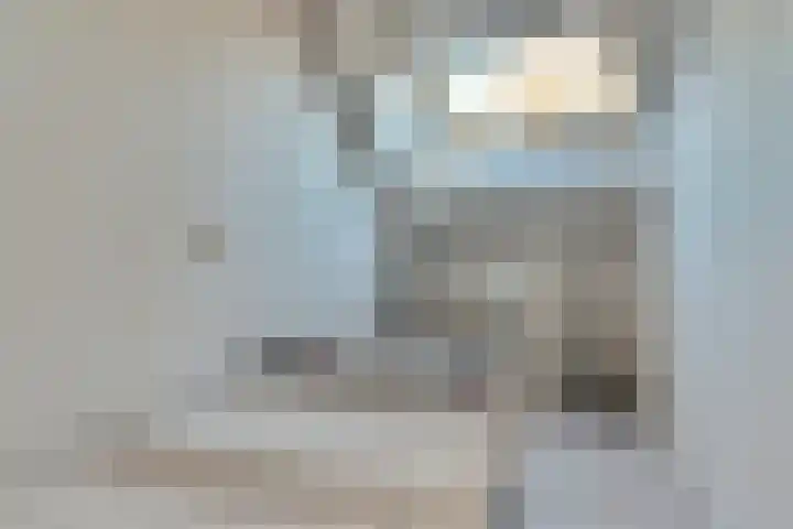 Kruisstraat 1 1 Dieren thumbnail 19