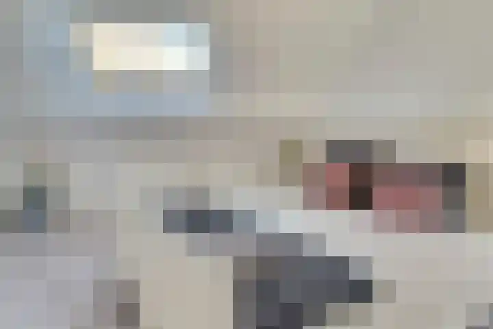 Kruisstraat 1 1 Dieren thumbnail 21